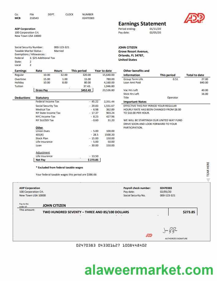 USA ADP Earnings statement template in Word and PDF format